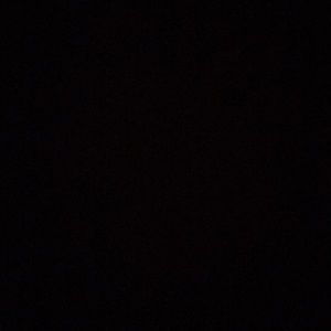 Meet your Posher, Rosie